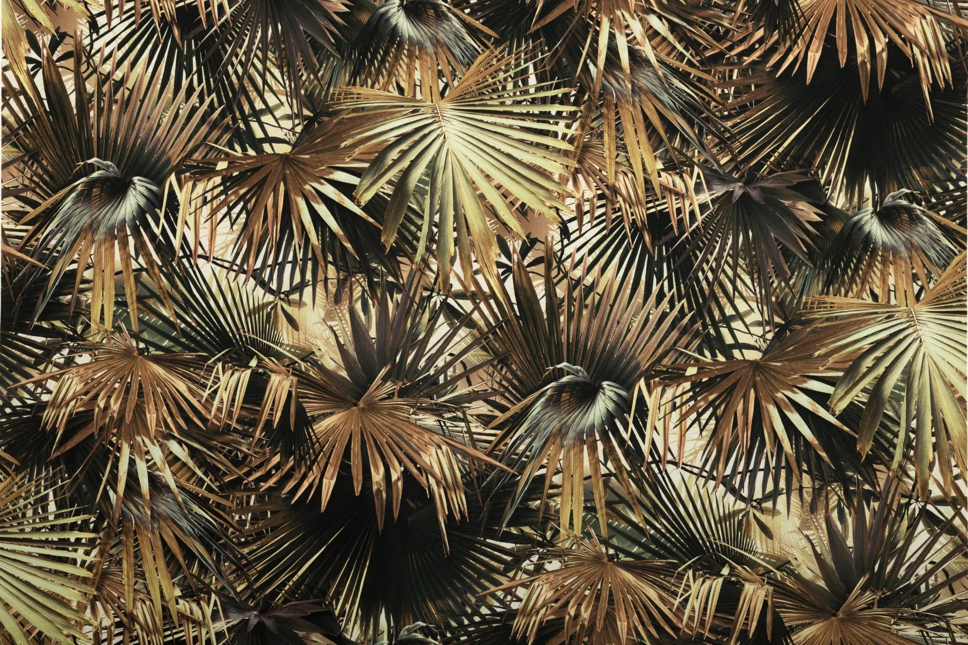 Ткань Jean Paul Gaultier Autour du Monde Fabrics 3490_01