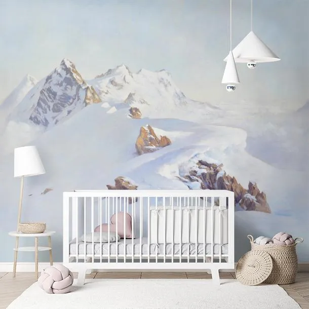 Обои для стен Pierre Frey Galerie 3 fp908001 #9