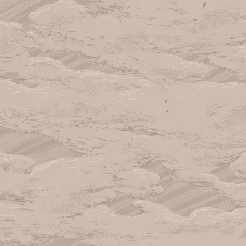 Обои для стен Milassa Ambient vol.3 AM10002