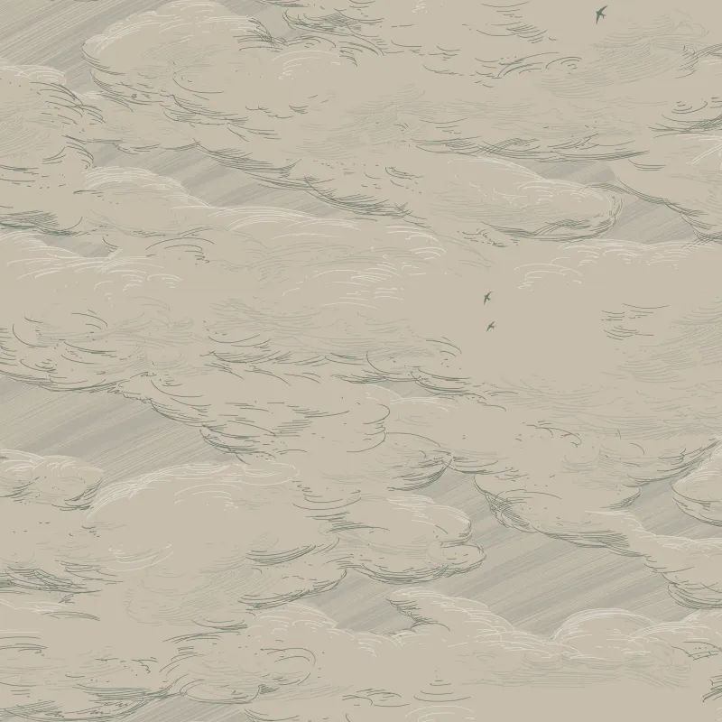 Обои для стен Milassa Ambient vol.3 AM10005