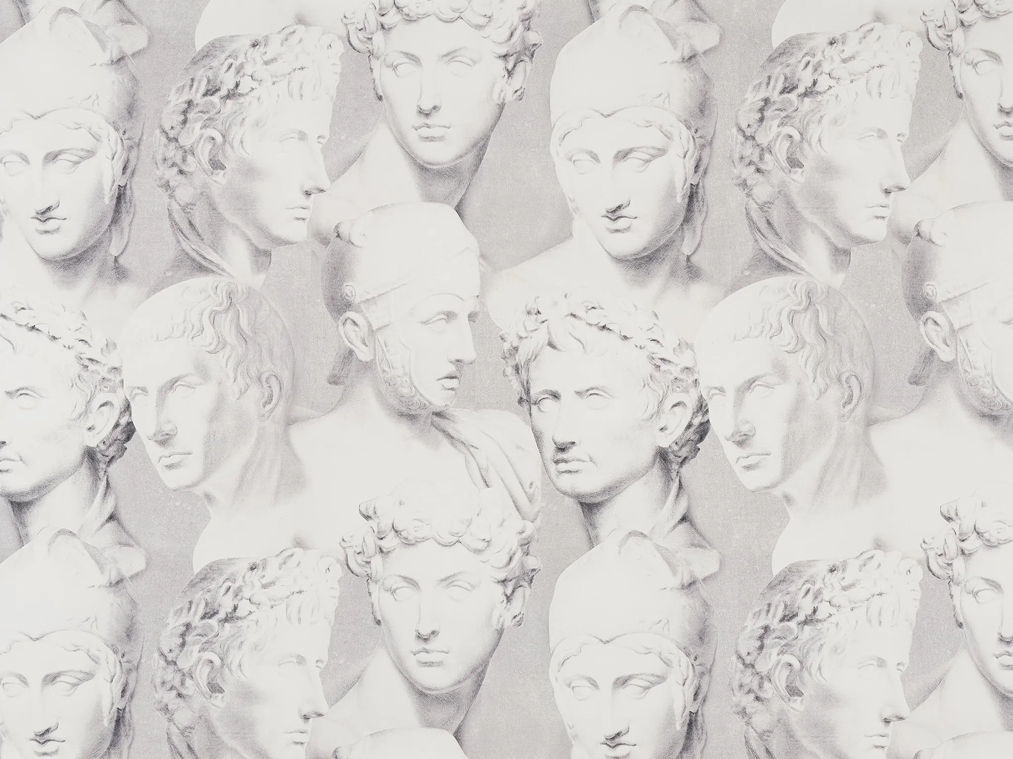 Обои для стен Pierre Frey The Cult of Beauty fp799001