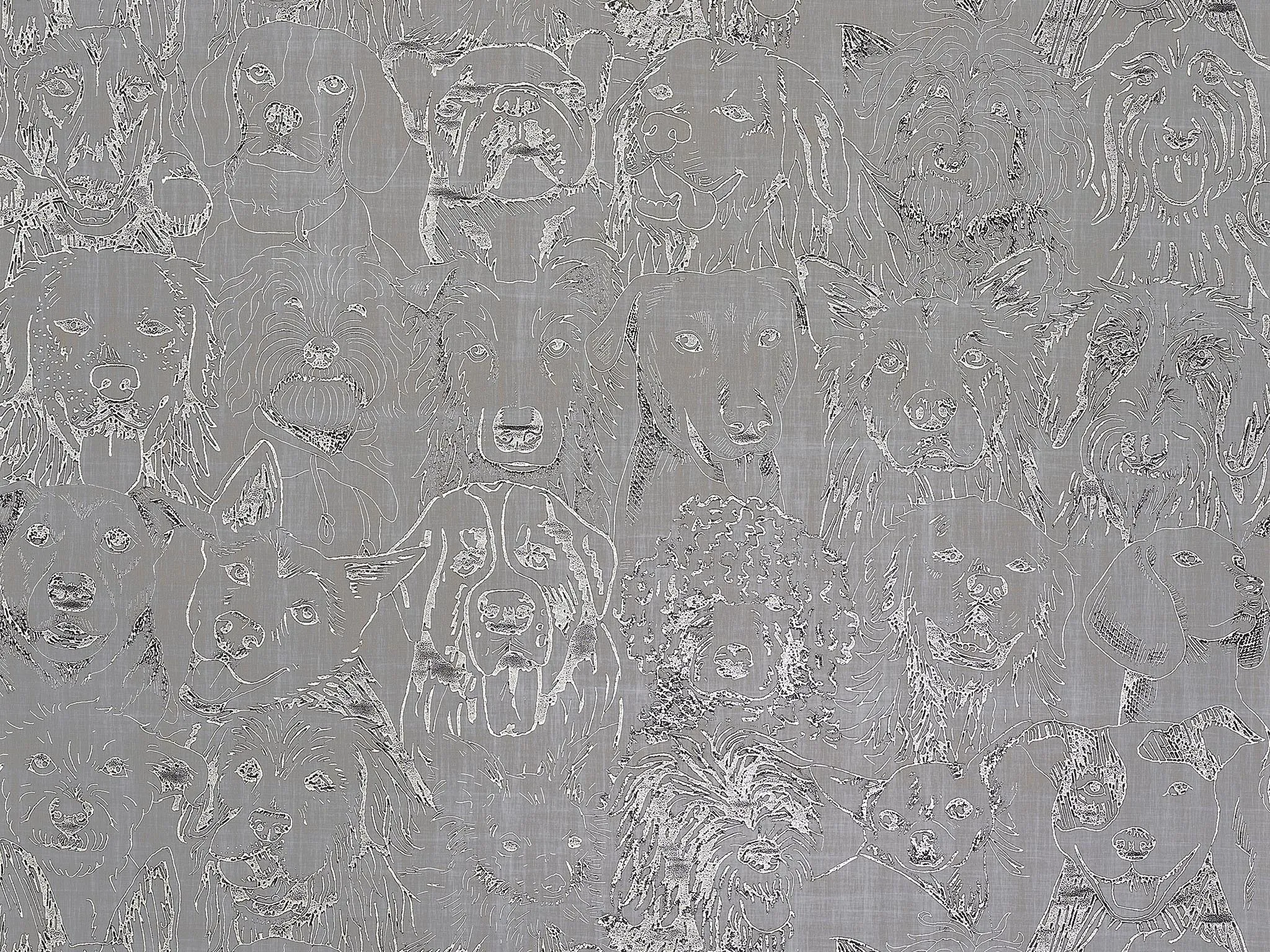 Обои для стен Pierre Frey The Cult of Beauty fp804003