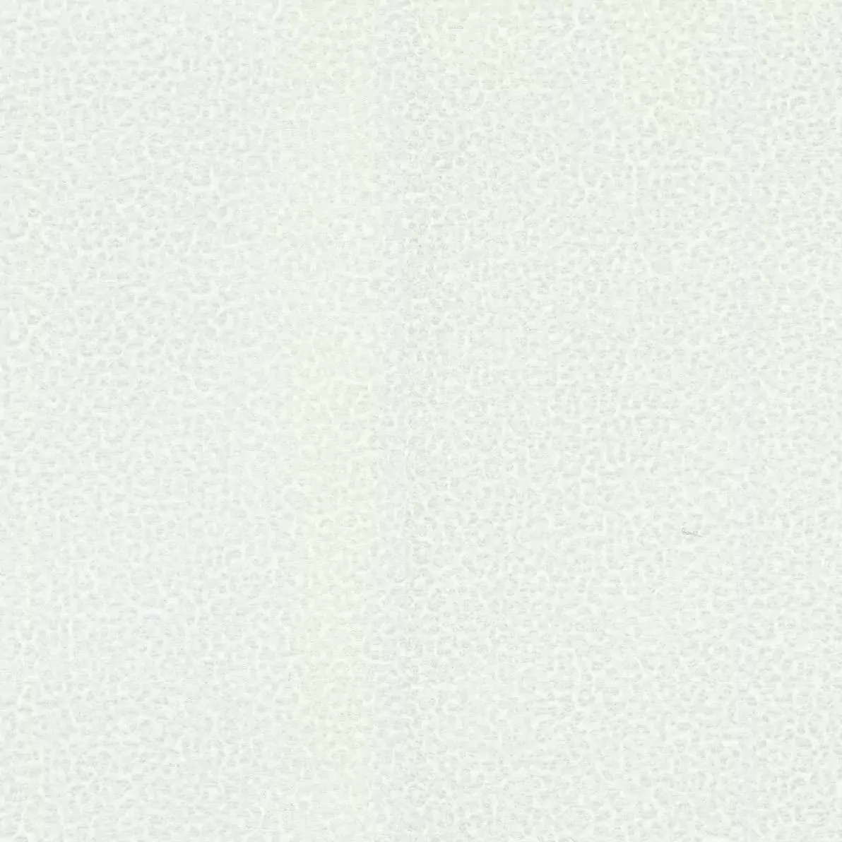 Обои для стен Roberto Cavalli No.8 rc19020