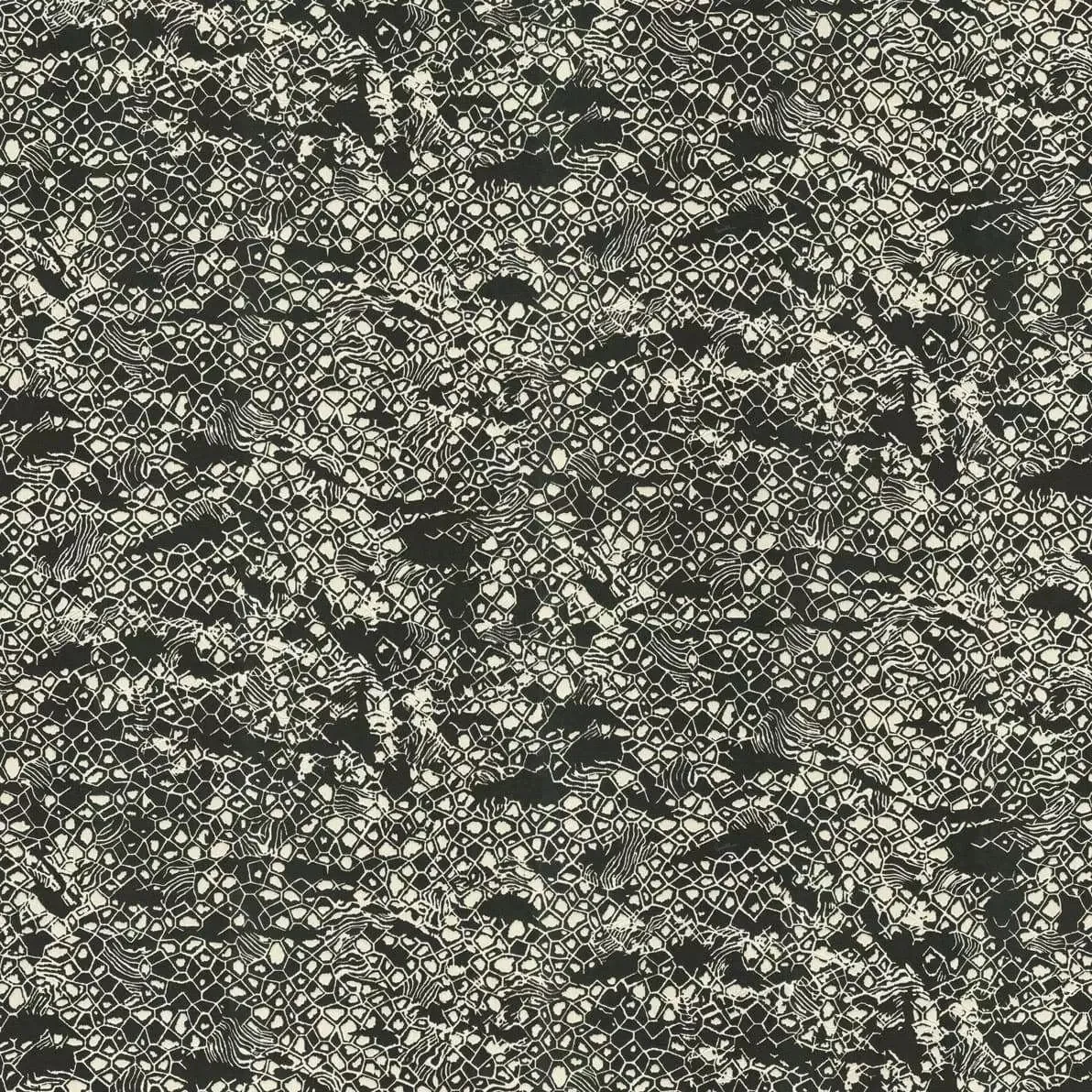 Обои для стен Roberto Cavalli No.8 rc19036