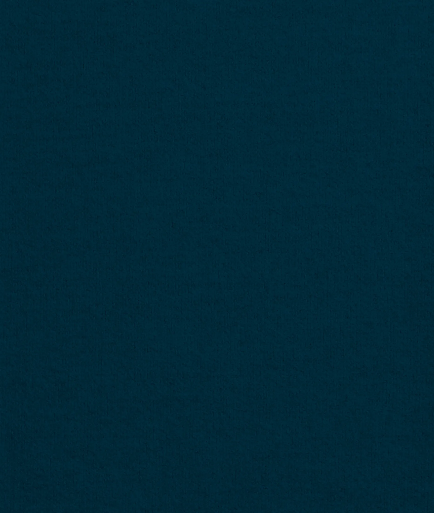 Обои для стен Dedar No Excuses Wall D21019_003