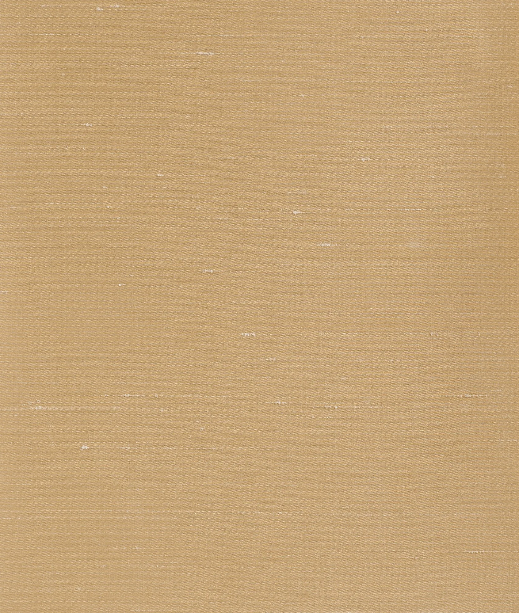 Обои для стен Dedar Sibilla Wall D21018_001