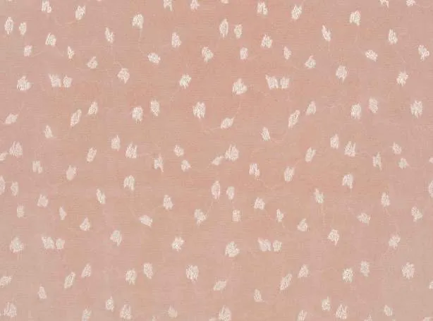 Ткань Villa Nova Elswyth V3480-02