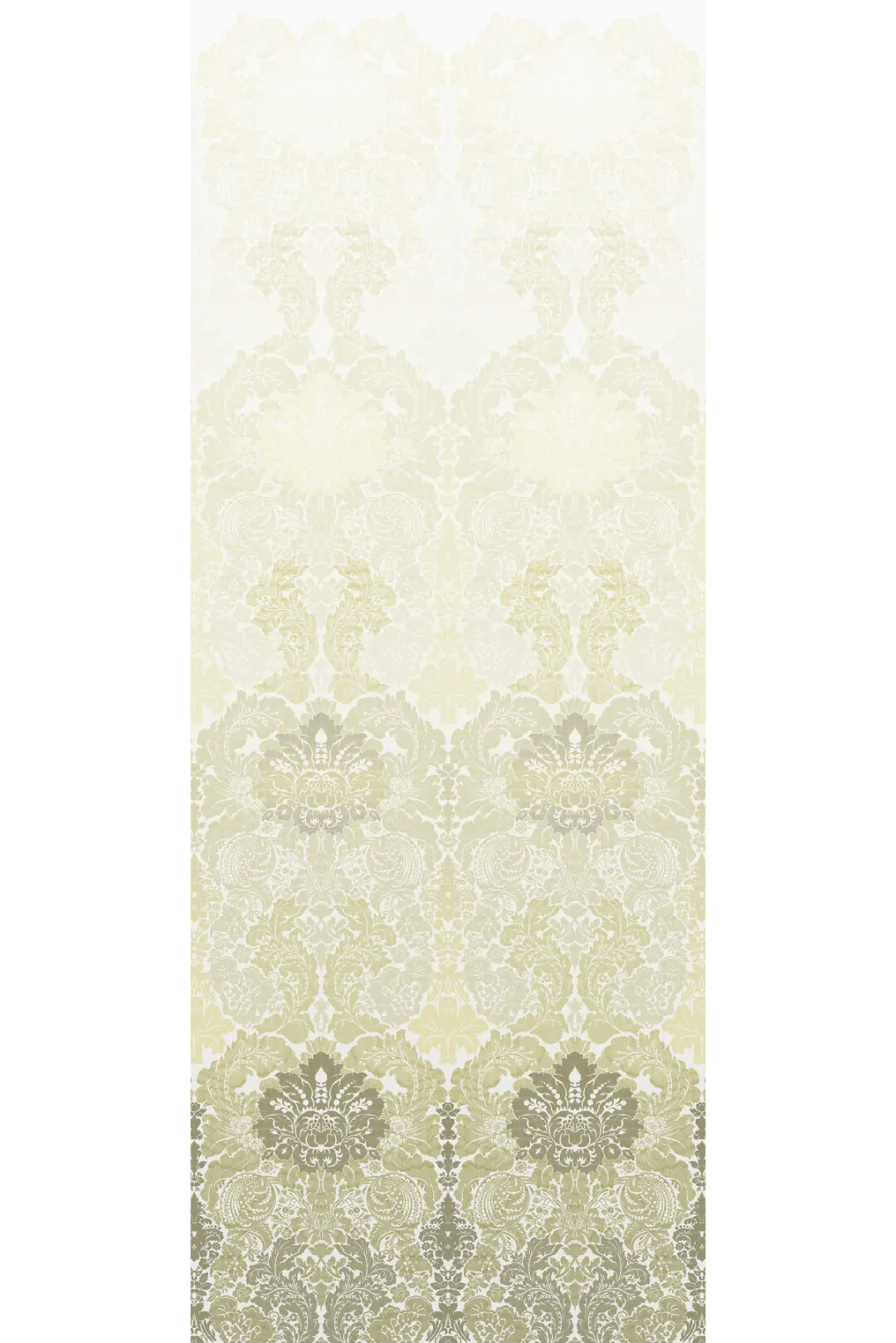 Обои для стен Timorous Beasties Disappearing Damask OBRN-02
