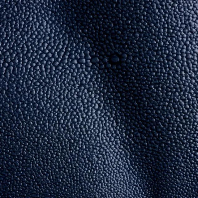 Ткань Studioart The Specialties Leathers Razza oltremare