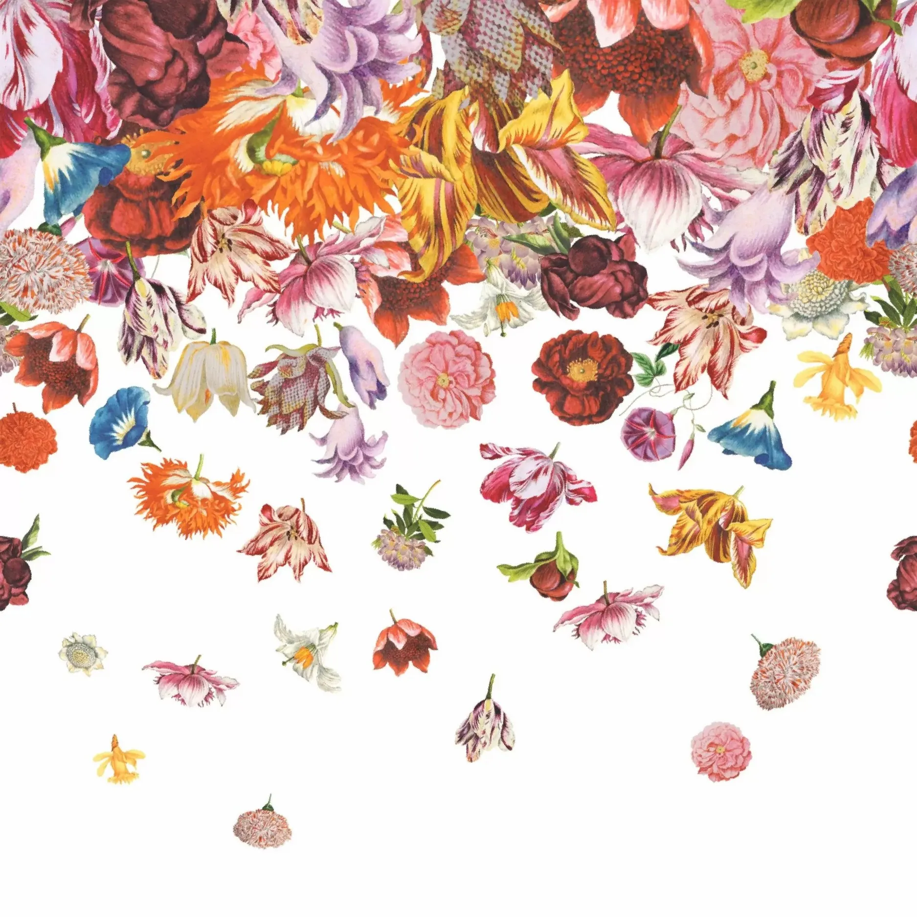 Обои для стен Hohenberger Tropical 18003