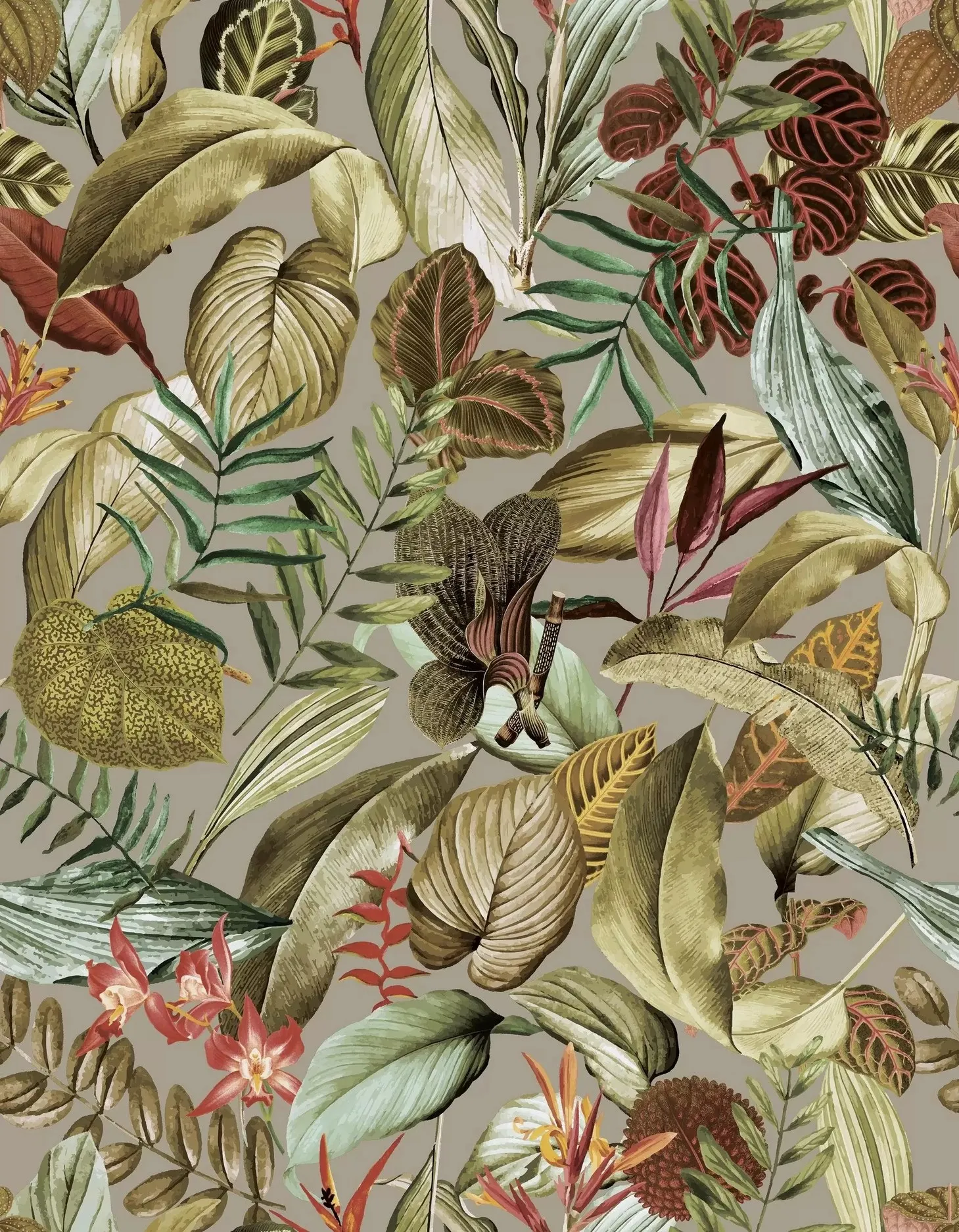 Обои для стен Hohenberger Tropical 26738