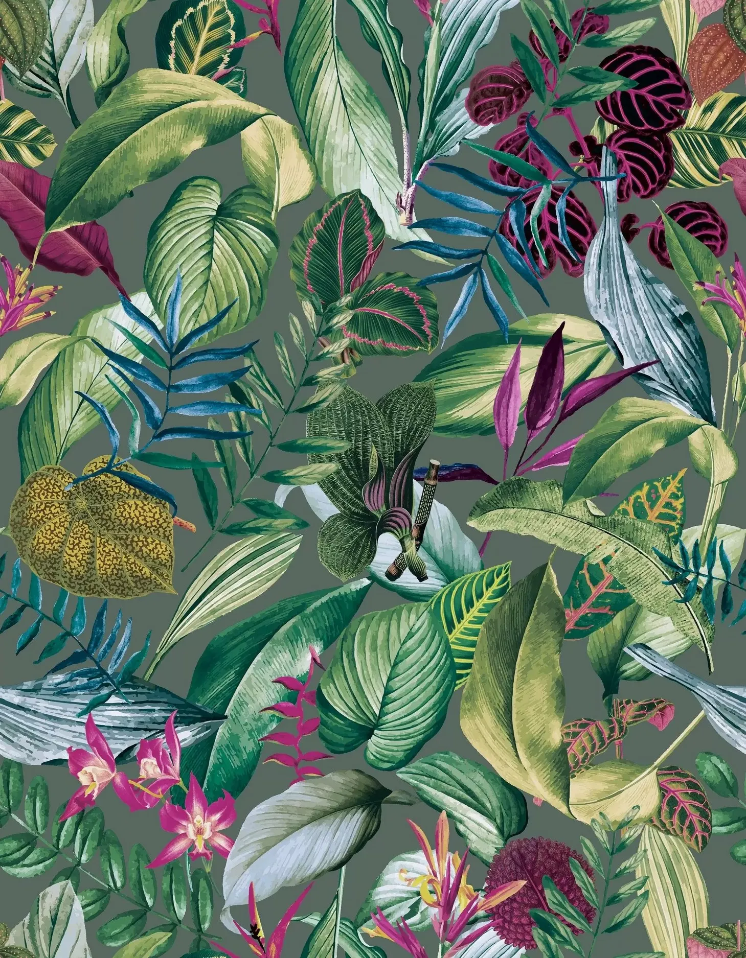 Обои для стен Hohenberger Tropical 26739