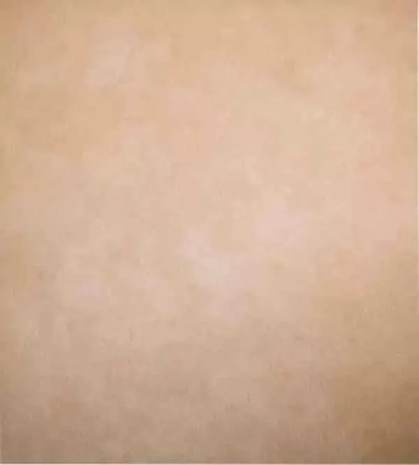 Обои для стен Hohenberger Urban Classics 30037