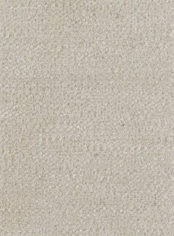 Ткань Altrenotti Sartoria Apus-01