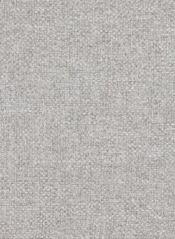 Ткань Altrenotti Sartoria Giove-01