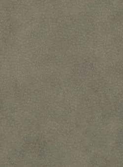 Ткань Altrenotti Sartoria Vintage-01