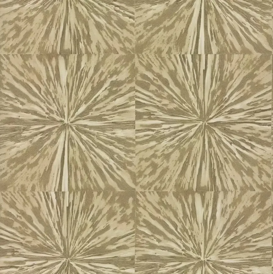 Обои для стен Antonina Vella Elegant Earth og0502