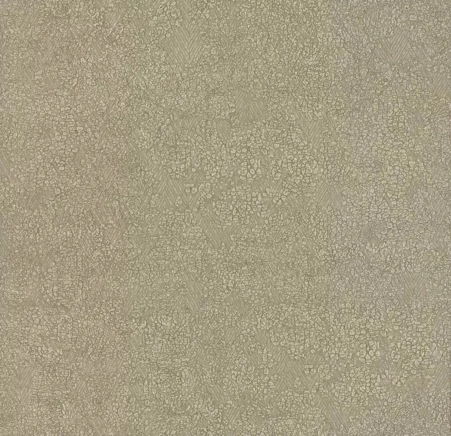 Обои для стен Antonina Vella Elegant Earth og0508