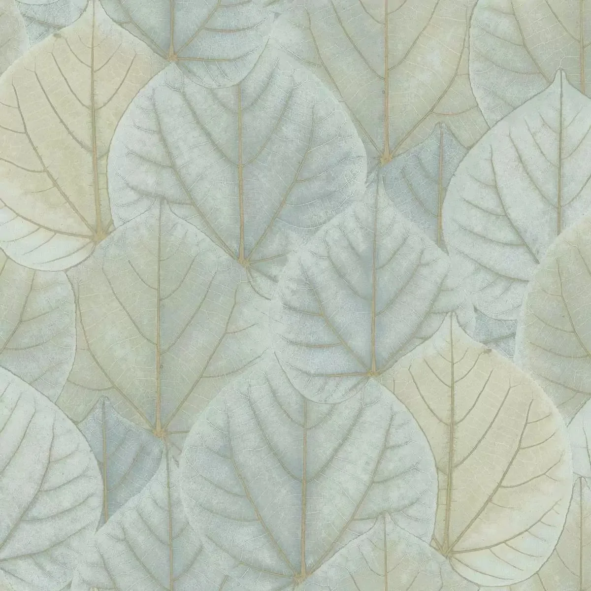 Обои для стен Candice Olson Modern Nature os4241