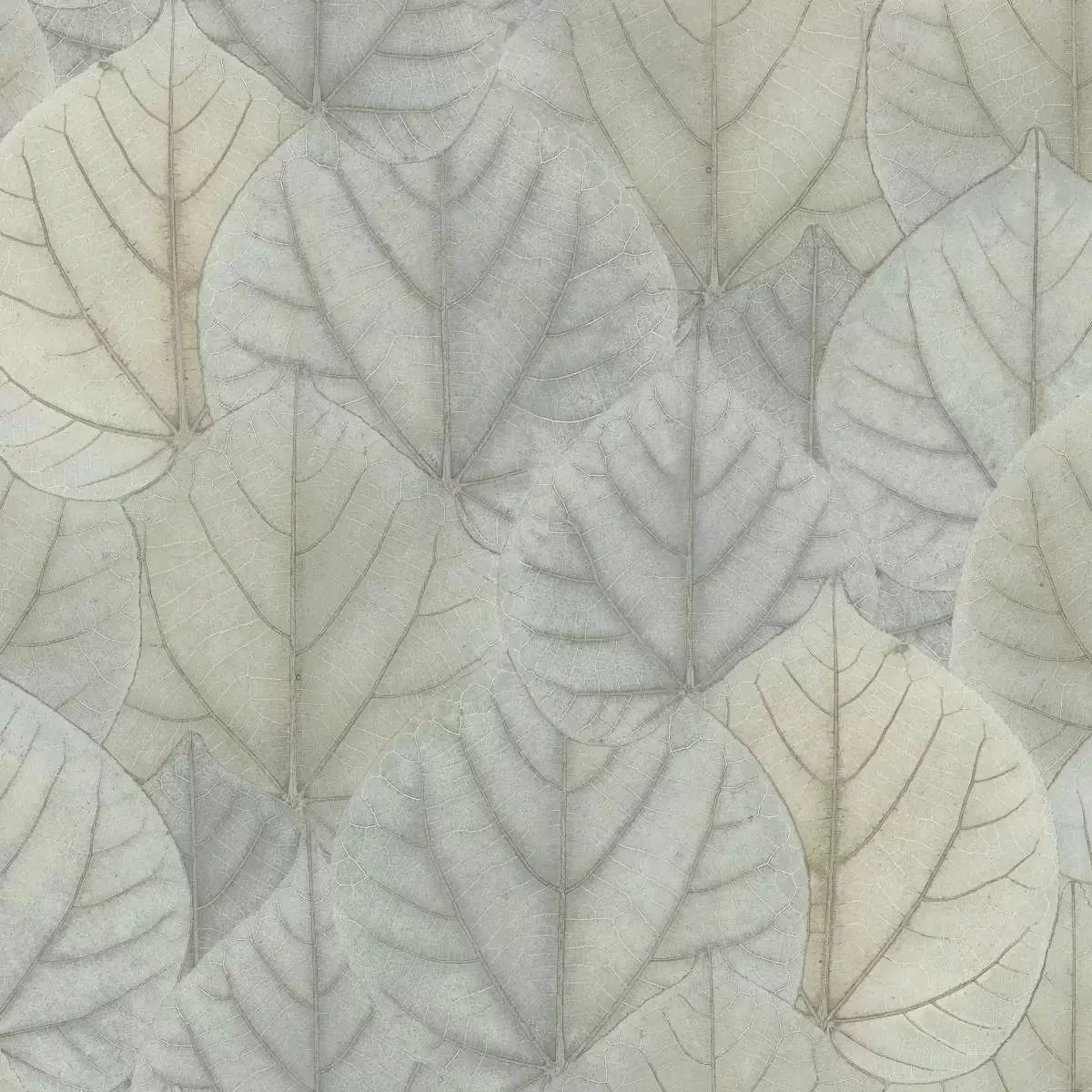 Обои для стен Candice Olson Modern Nature os4244