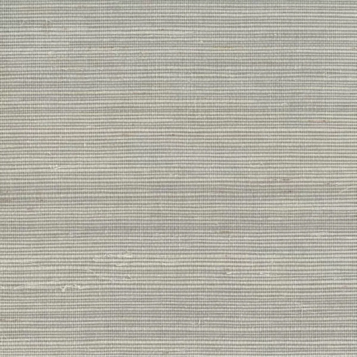 Обои для стен York Wallcoverings Tropics de8994