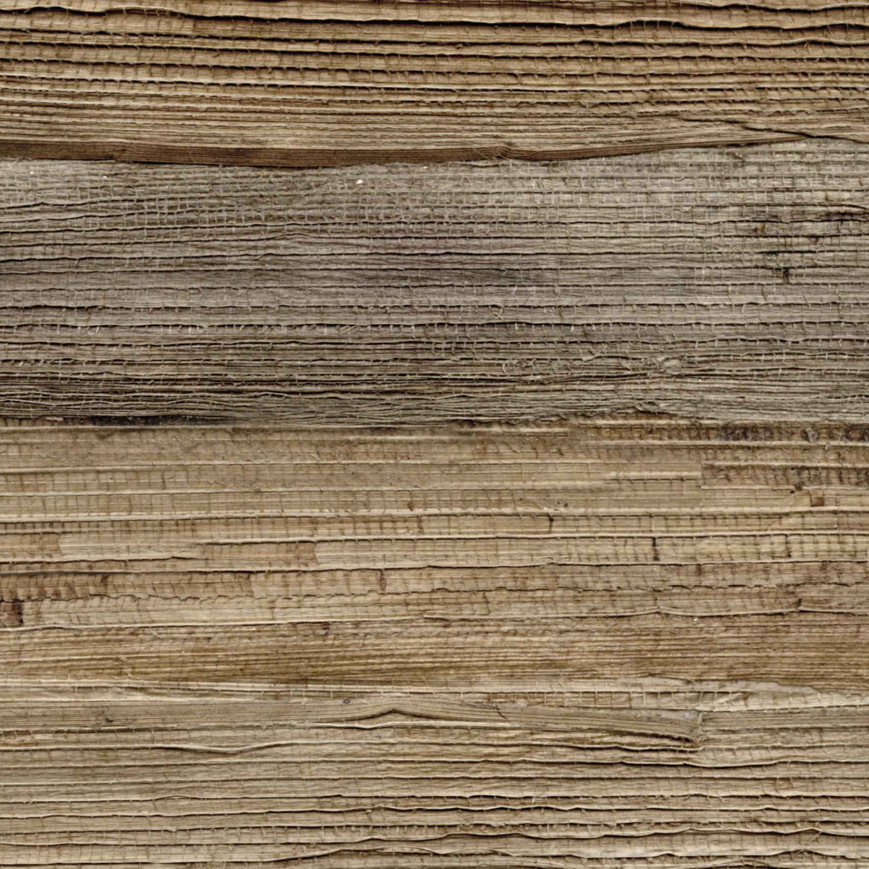 Обои для стен CMO Paris Banana Leaves WBA_01_10