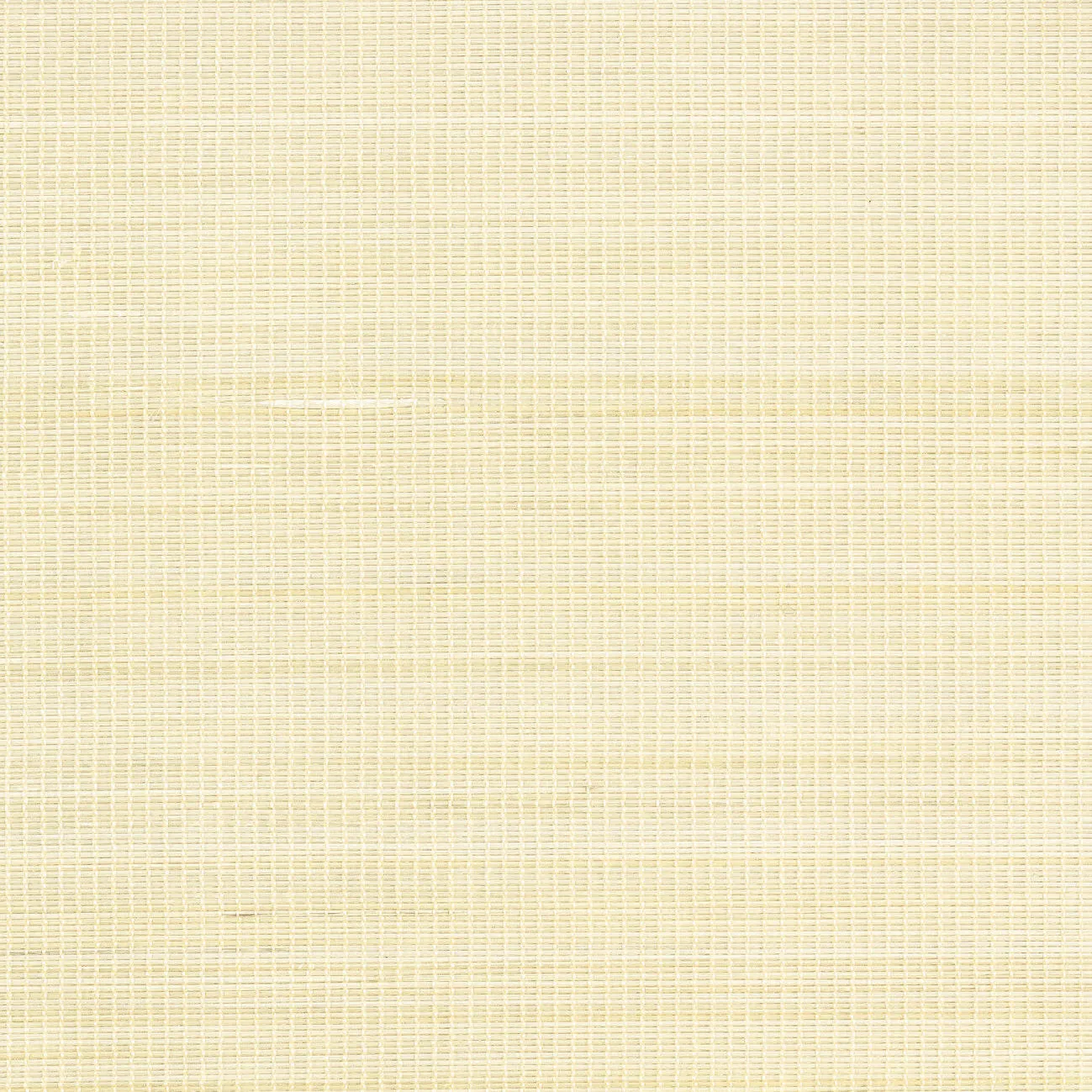 Обои для стен CMO Paris Palm Tree WPA_06_01