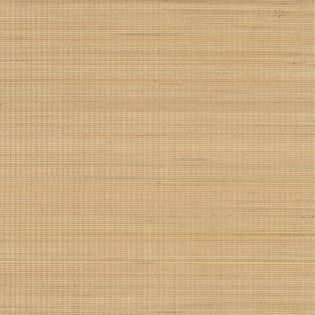 Обои для стен CMO Paris Palm Tree WPA_06_21