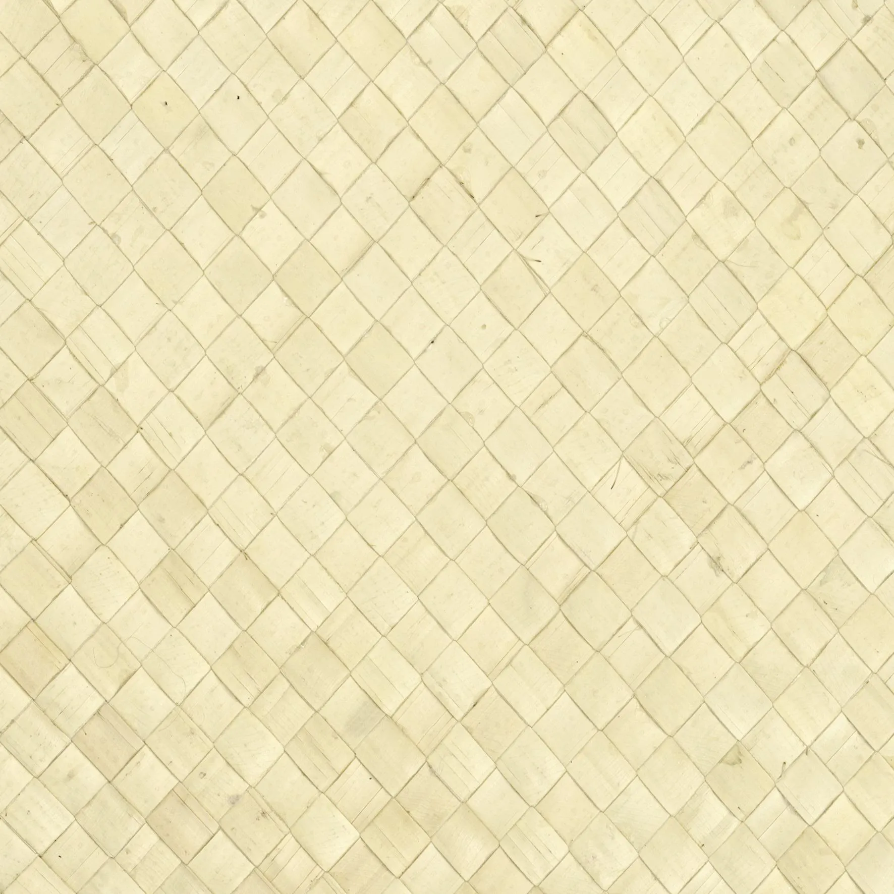 Обои для стен CMO Paris Palm Tree WPA_0510