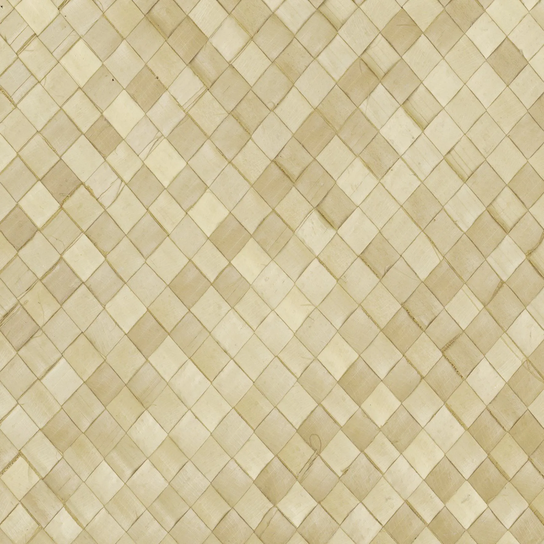 Обои для стен CMO Paris Palm Tree WPA_0515