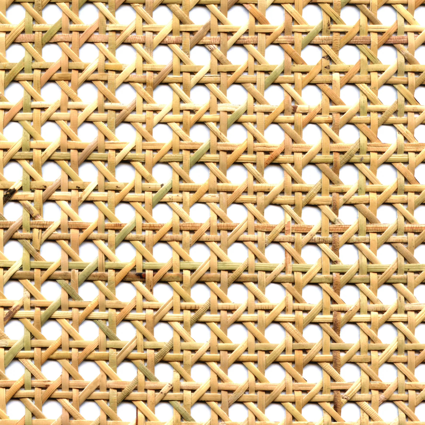 Ткань CMO Paris Palm Tree FRO-02-15