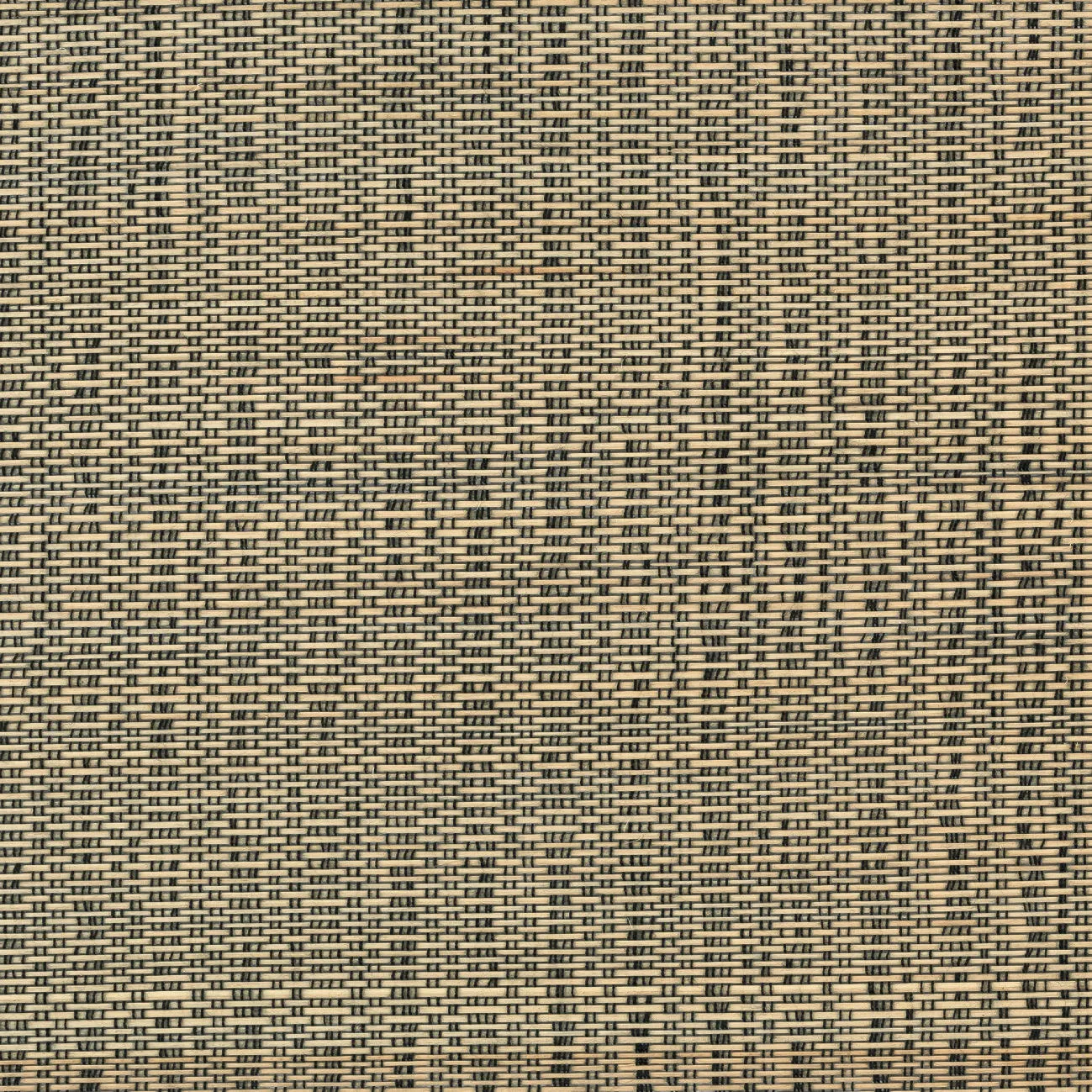 Ткань CMO Paris Palm Tree 2 FBU_08_10