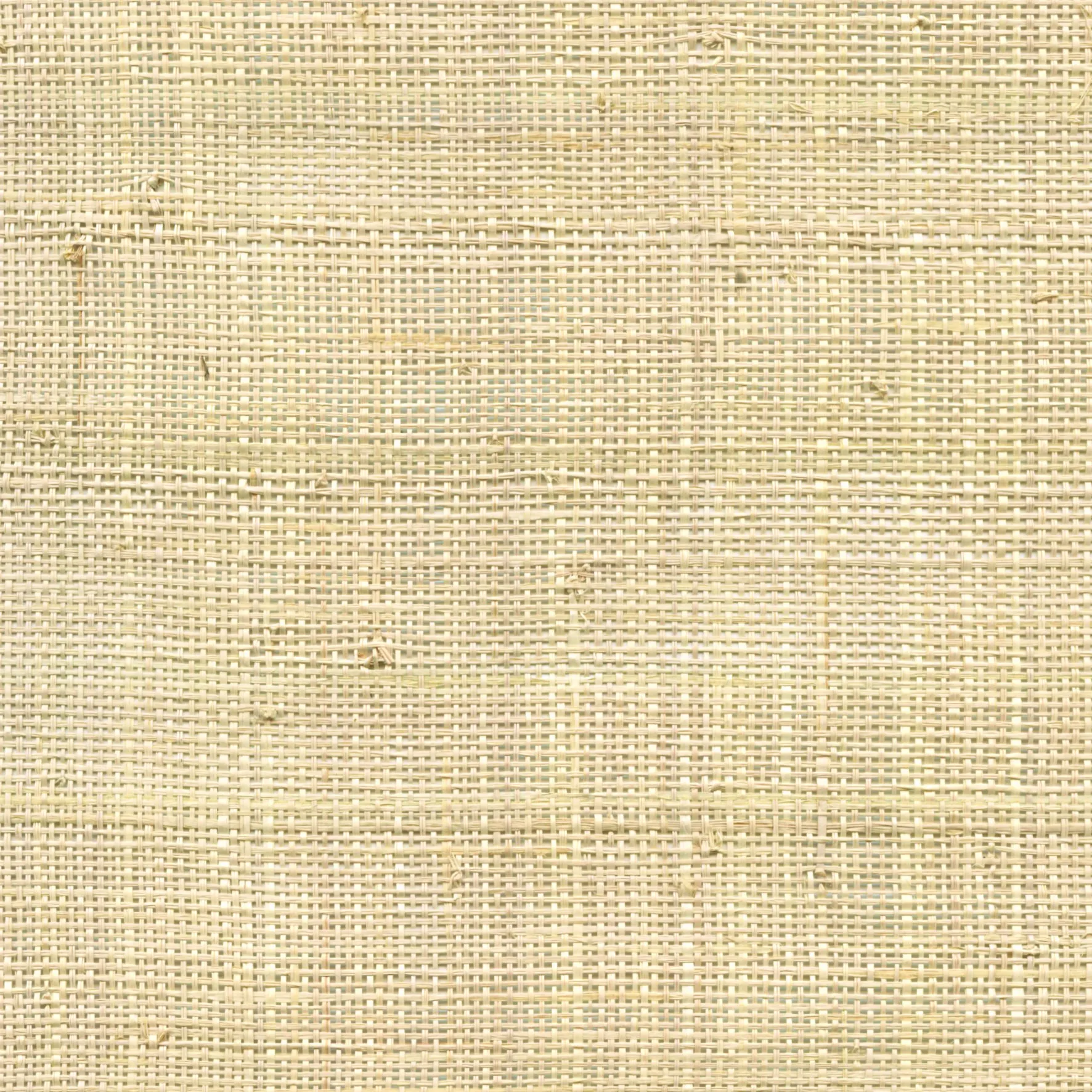 Ткань CMO Paris Raffia FRA-05-01