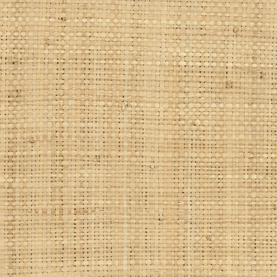 Ткань CMO Paris Raffia 2 FRA_17-10