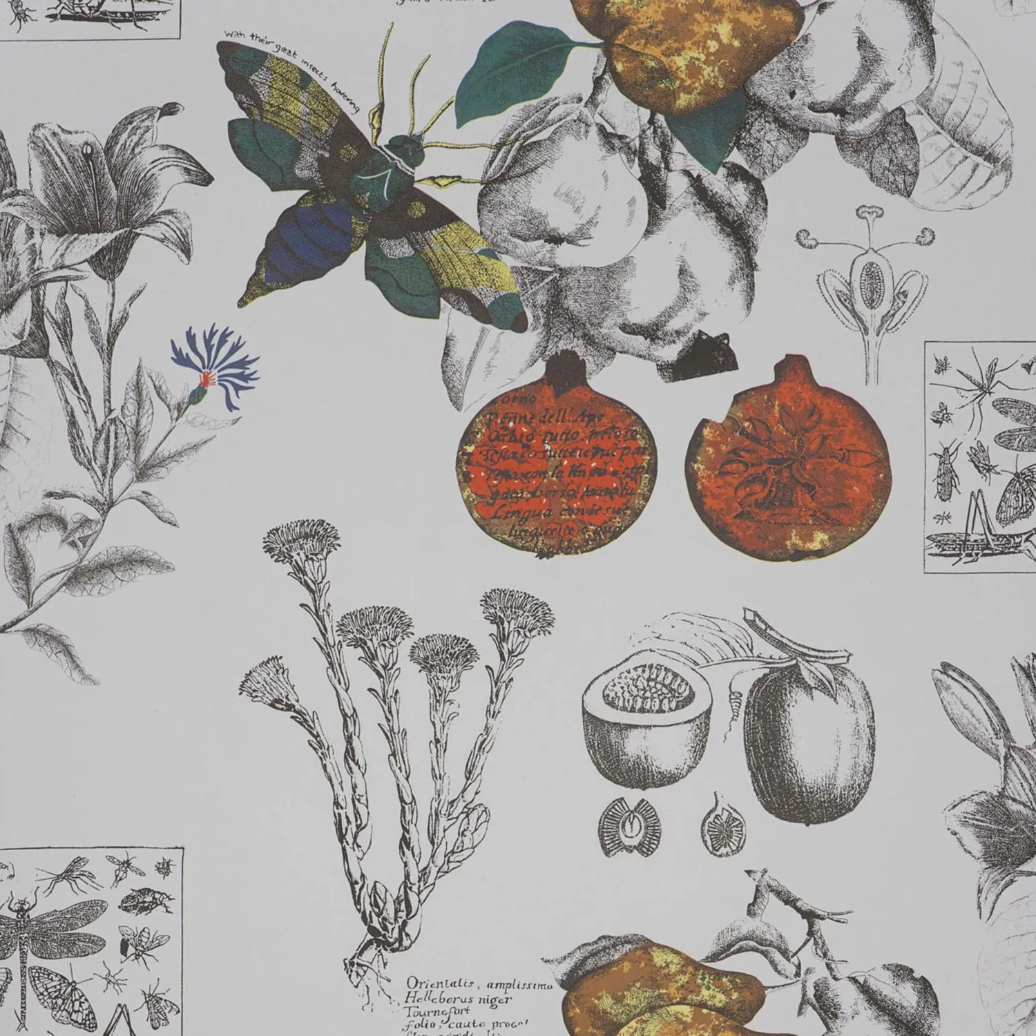 Обои для стен Gaston Y Daniela Origen Dos GDW-4848-001