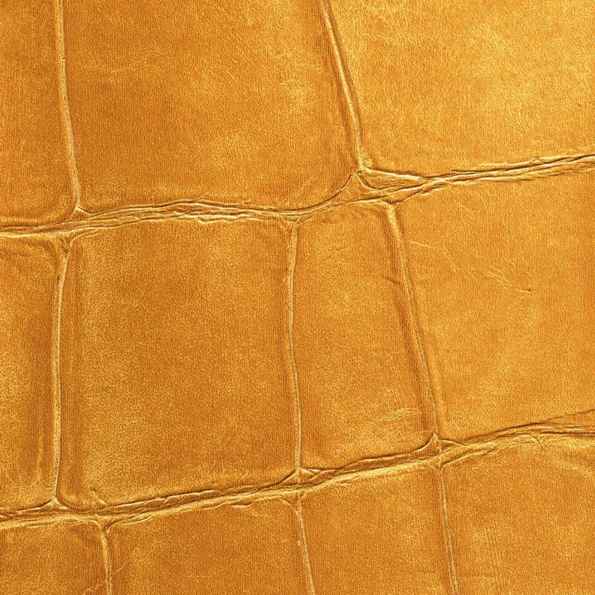 Обои для стен Elitis Vibrations Un-pur-joyau-VP-951-92