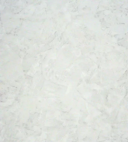 Обои для стен Casadeco So White 3 sowh26960042