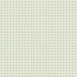 Обои для стен Paper & Ink Natural Silhouettes ns51204