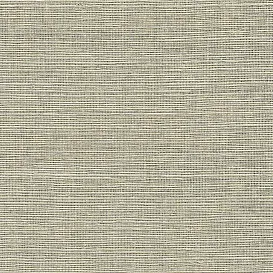 Обои для стен Paper & Ink Natural Silhouettes ns51805