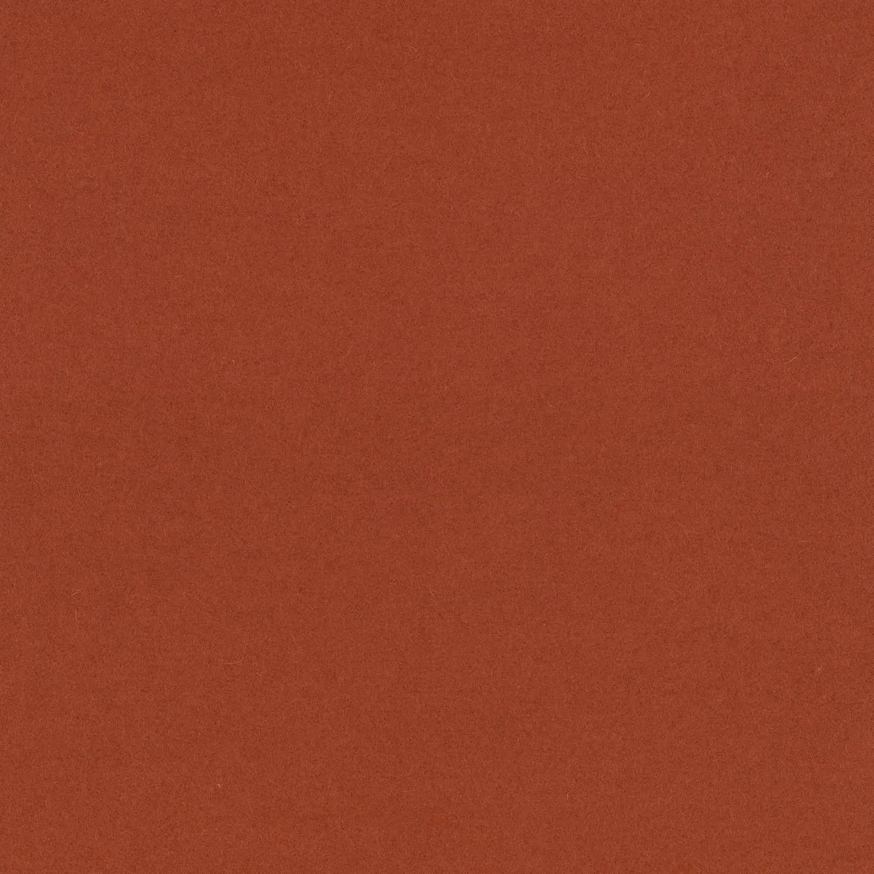 Ткань Kvadrat Divina by Finn Skodt 1200-0552