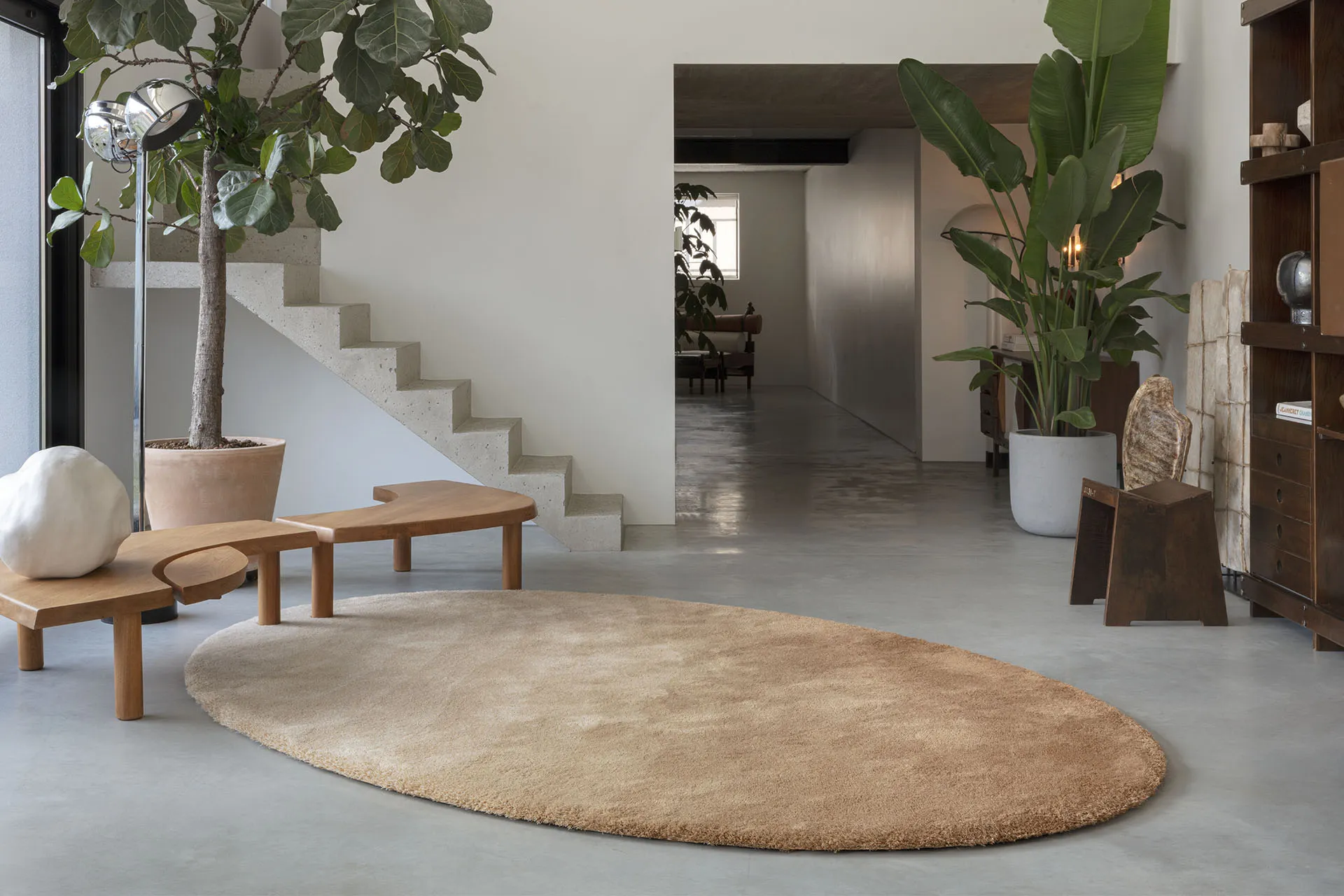 CallistoChromatic_High_CTHE76795_PearlPecan_Elipse_MD_H