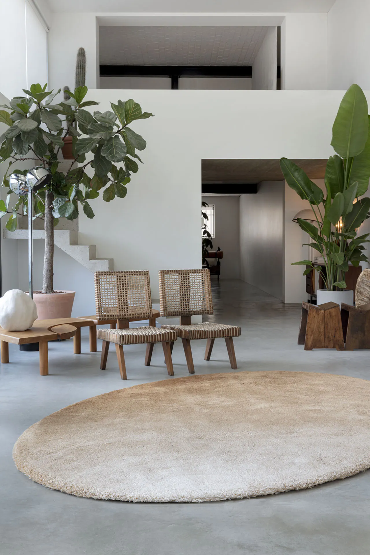 CallistoChromatic_High_CTHE76795_PearlPecan_Elipse_MD_V