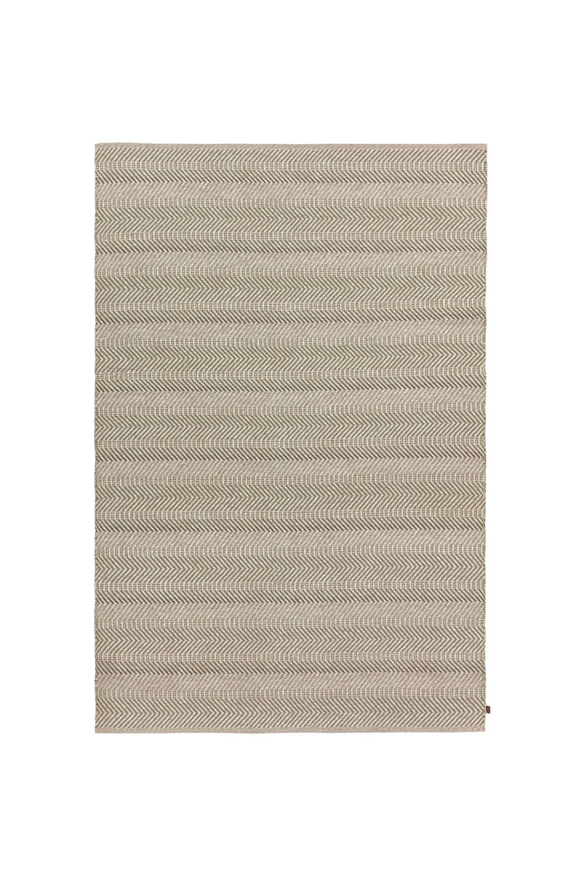 Lakeside_LK25773_Iguana_Rectangle_TV