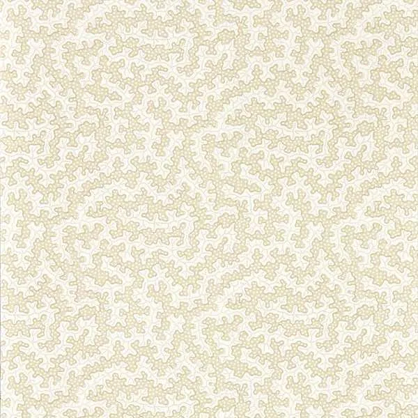 Обои для стен Sanderson Arboretum 217243