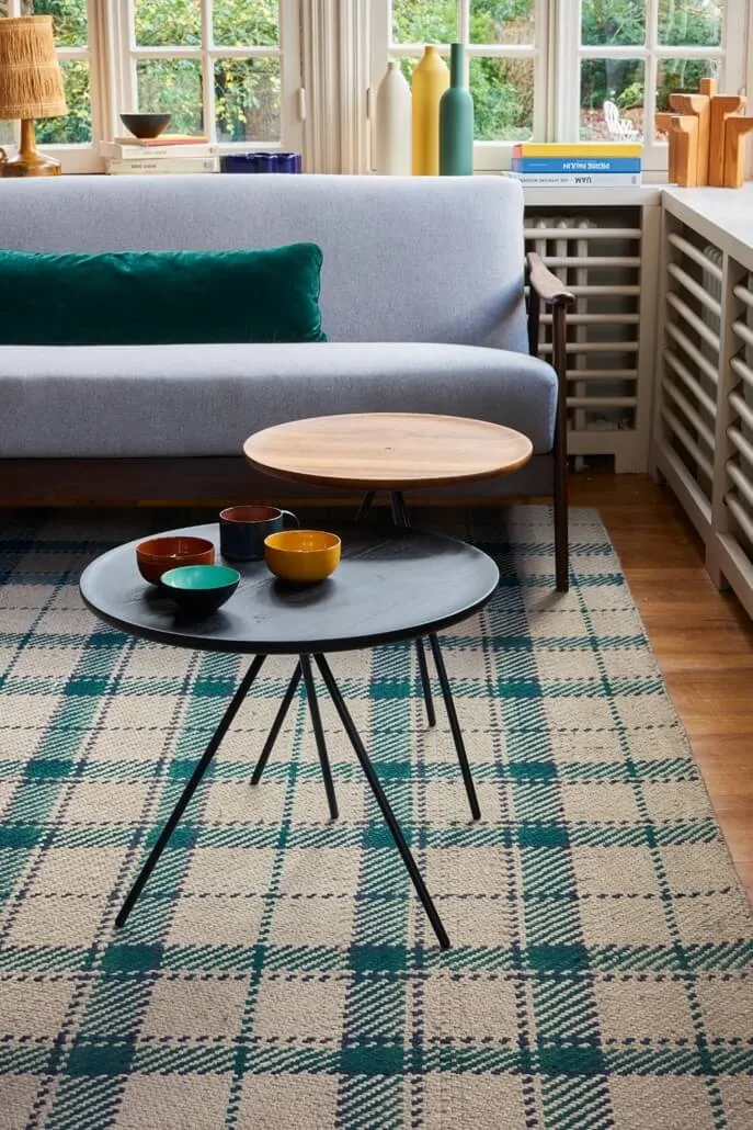 Scottish_Canard_Amb-