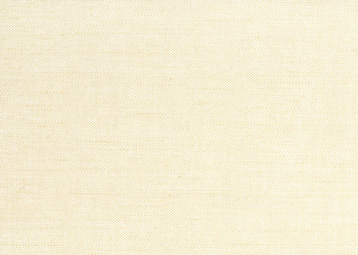 Обои для стен Jannelli & Volpi JV504 Tiebele 6267