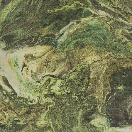 Обои для стен Carlucci Intergalactic CA8266-030