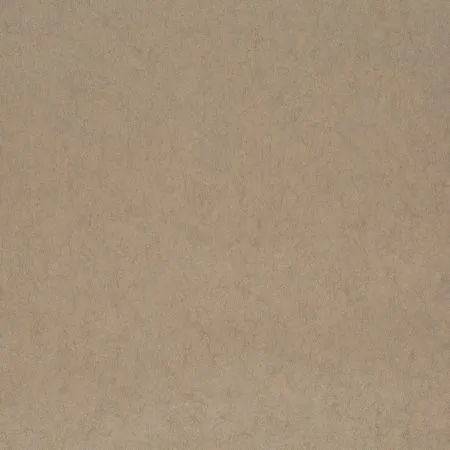 Обои для стен Chivasso Divine CH9126-023