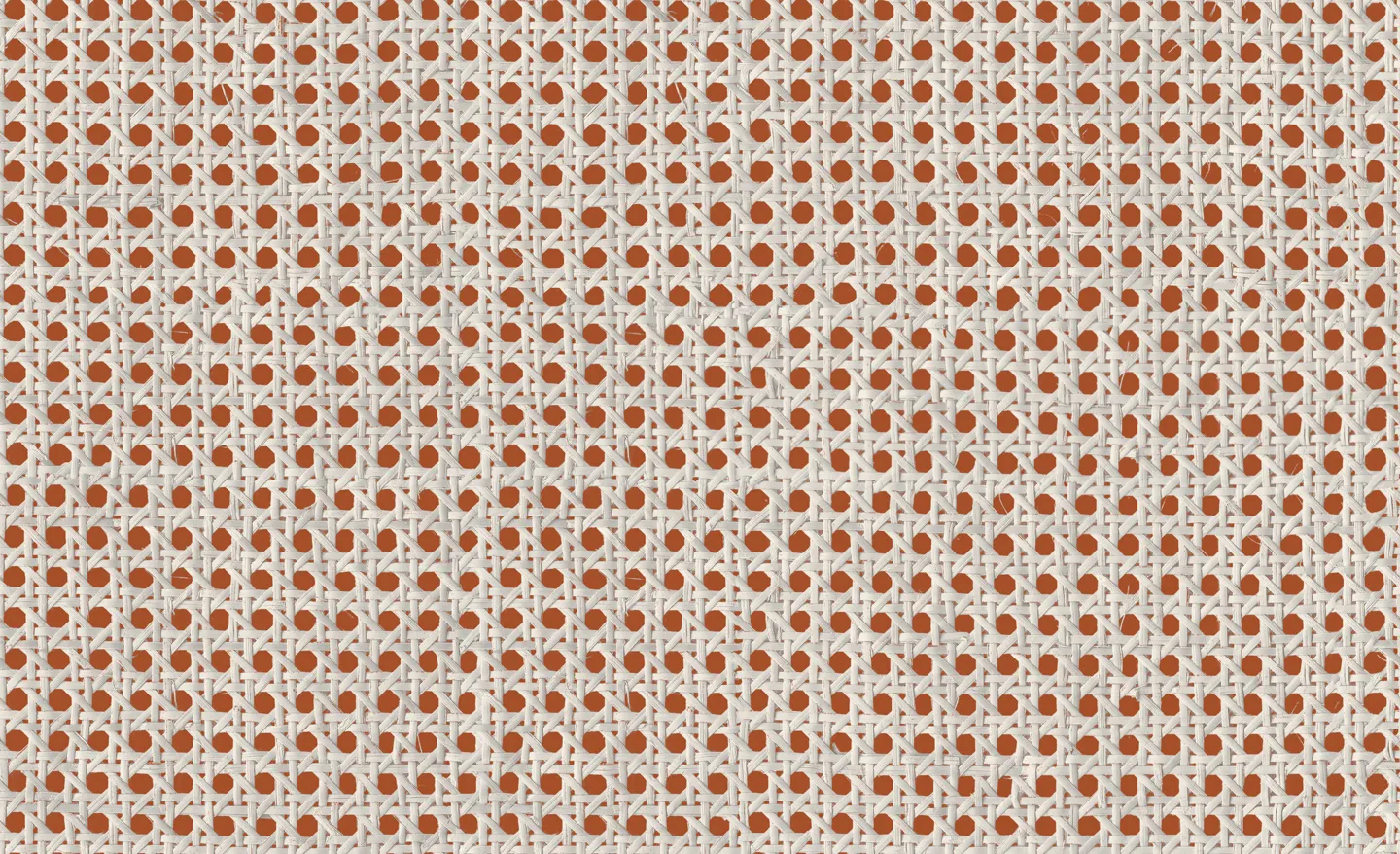 Обои для стен Coordonne Raffias 9800004