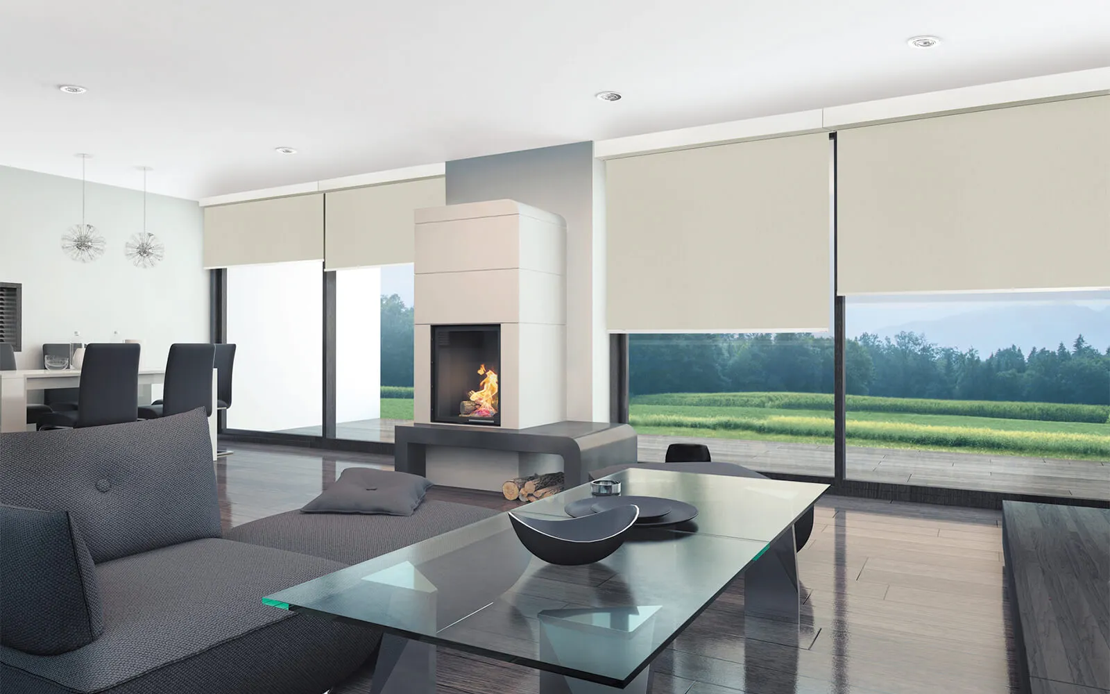 Рулонные шторы Line Elegant-1